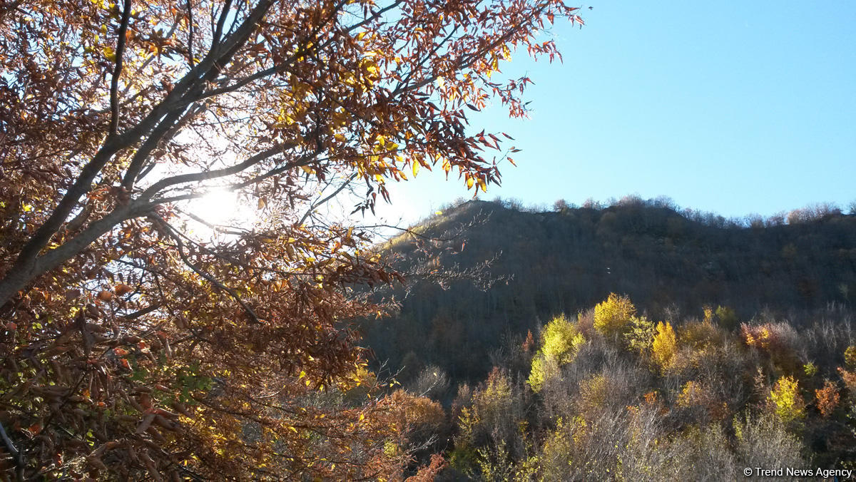 Sabah havanın temperaturu yüksək olacaq