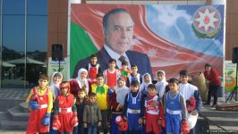 Lənkəranda ikinci Çay, çəltik və sitrus festivalı keçirilir (FOTO)