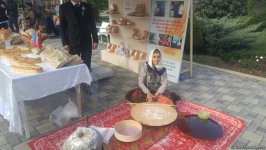 Lənkəranda ikinci Çay, çəltik və sitrus festivalı keçirilir (FOTO)