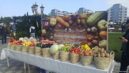 Lənkəranda ikinci Çay, çəltik və sitrus festivalı keçirilir (FOTO)