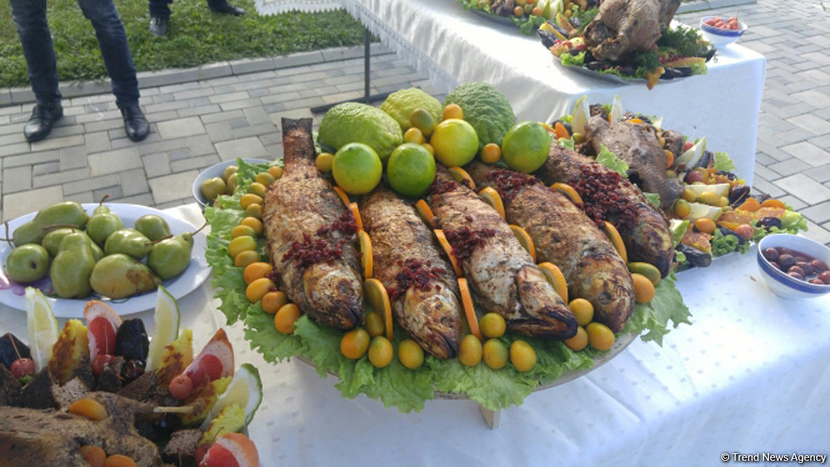 Lənkəranda ikinci Çay, çəltik və sitrus festivalı keçirilir (FOTO)