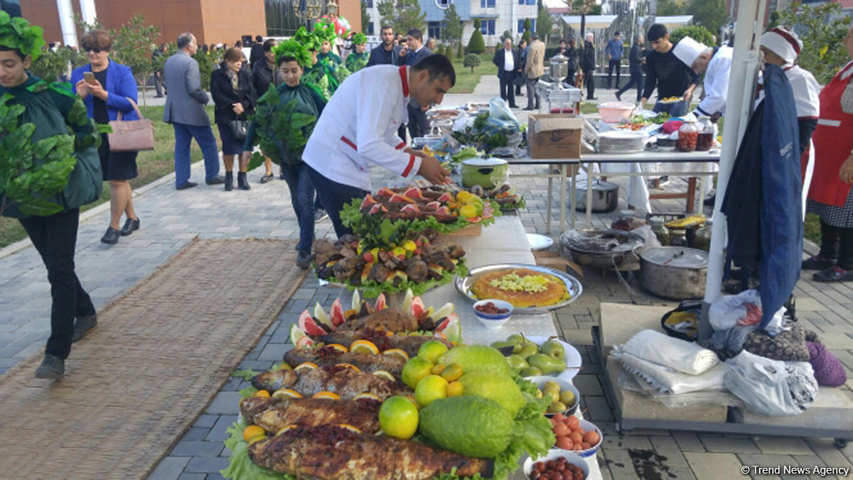 Lənkəranda ikinci Çay, çəltik və sitrus festivalı keçirilir (FOTO)