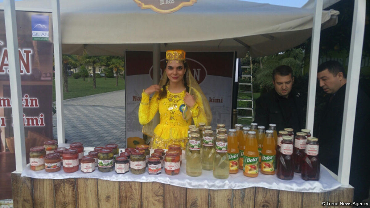 Lənkəranda ikinci Çay, çəltik və sitrus festivalı keçirilir (FOTO)