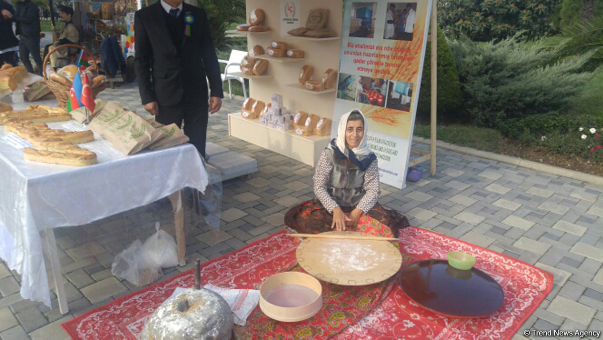 Lənkəranda ikinci Çay, çəltik və sitrus festivalı keçirilir (FOTO)