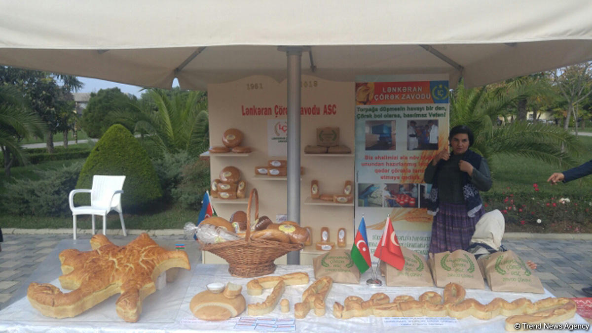 Lənkəranda ikinci Çay, çəltik və sitrus festivalı keçirilir (FOTO)