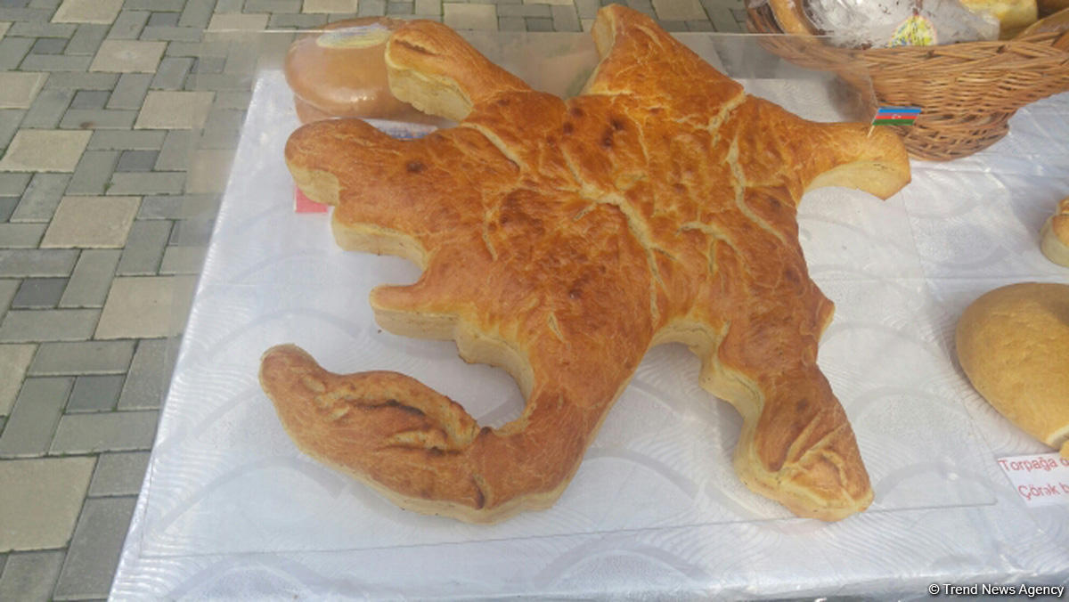 Lənkəranda ikinci Çay, çəltik və sitrus festivalı keçirilir (FOTO)