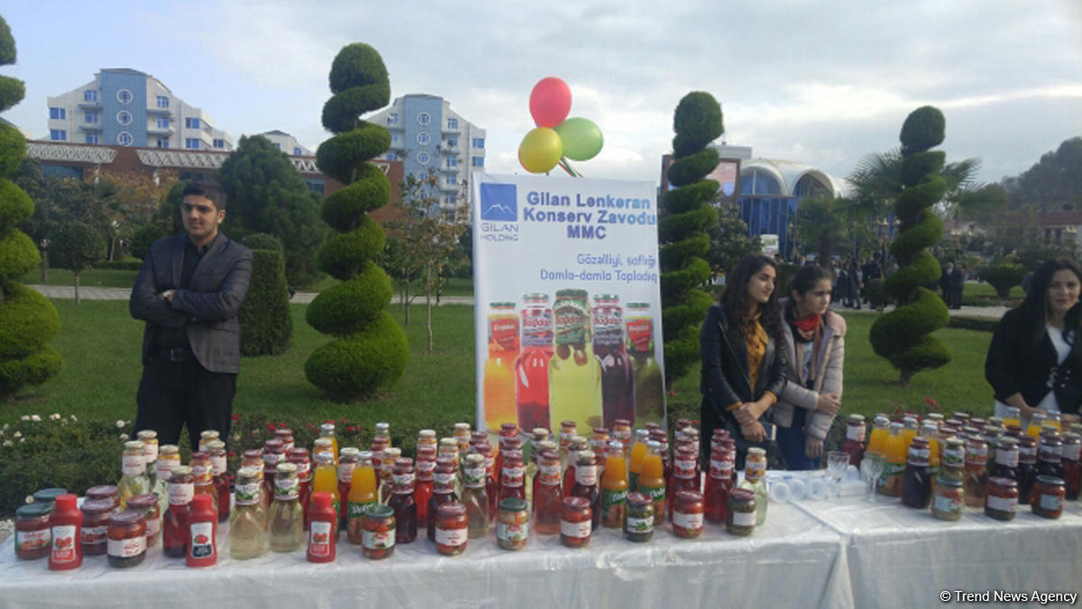 Lənkəranda ikinci Çay, çəltik və sitrus festivalı keçirilir (FOTO)