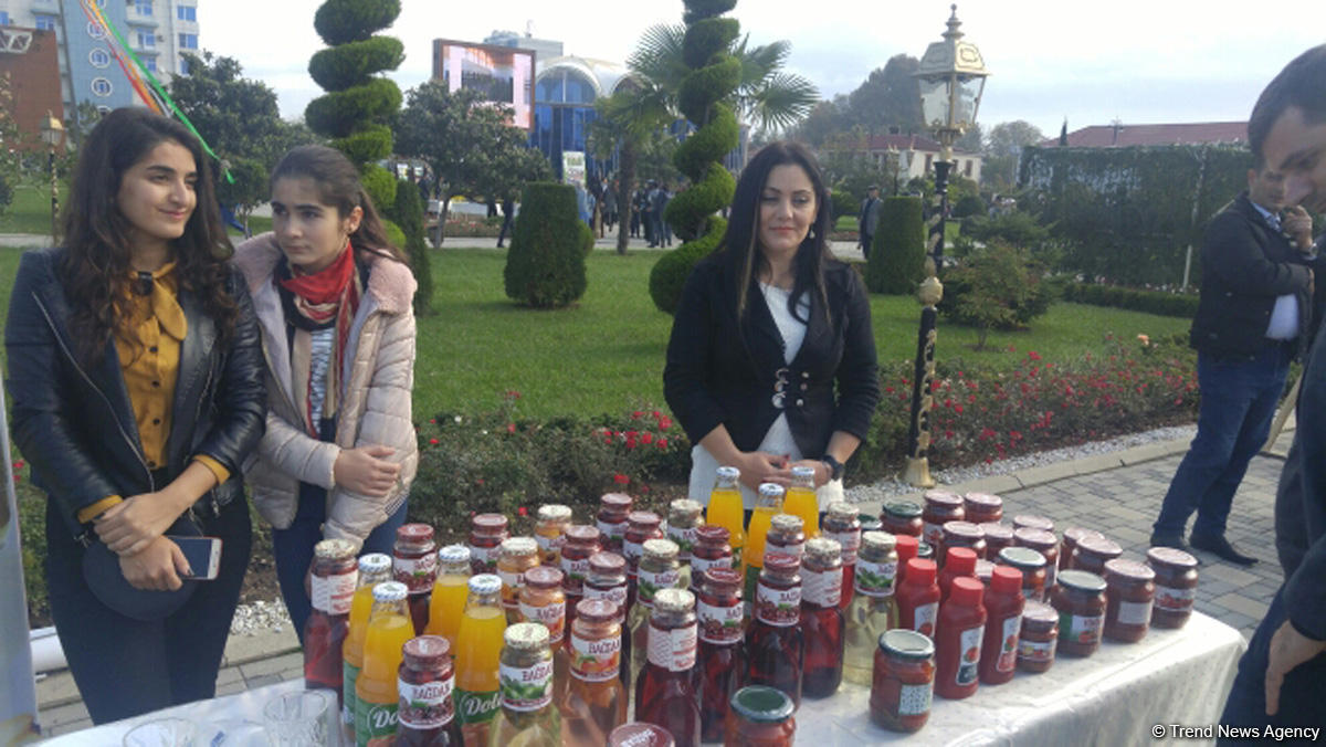 Lənkəranda ikinci Çay, çəltik və sitrus festivalı keçirilir (FOTO)