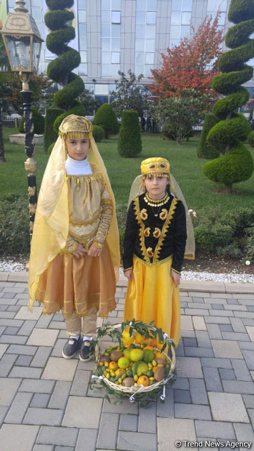Lənkəranda ikinci Çay, çəltik və sitrus festivalı keçirilir (FOTO)