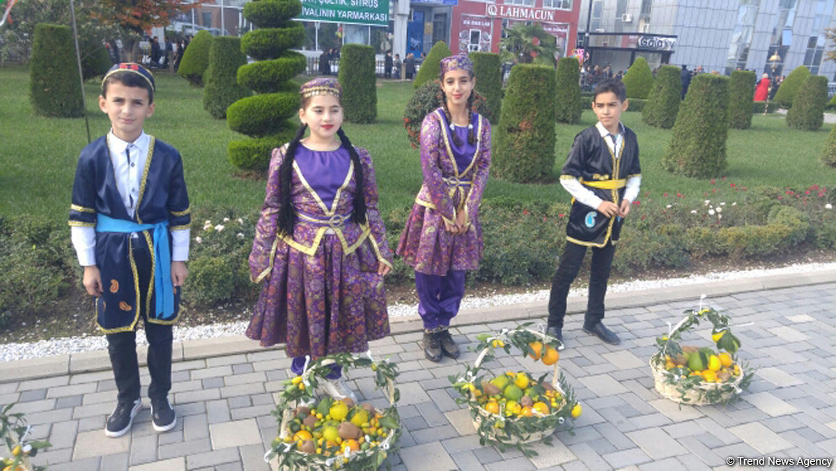 Lənkəranda ikinci Çay, çəltik və sitrus festivalı keçirilir (FOTO)