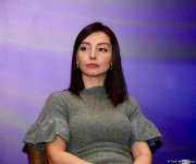 İşğal olunmuş Azərbaycan ərazilərində qeyri-qanuni fəaliyyətlərlə bağlı beynəlxalq konfrans öz işinə başlayıb (FOTO)