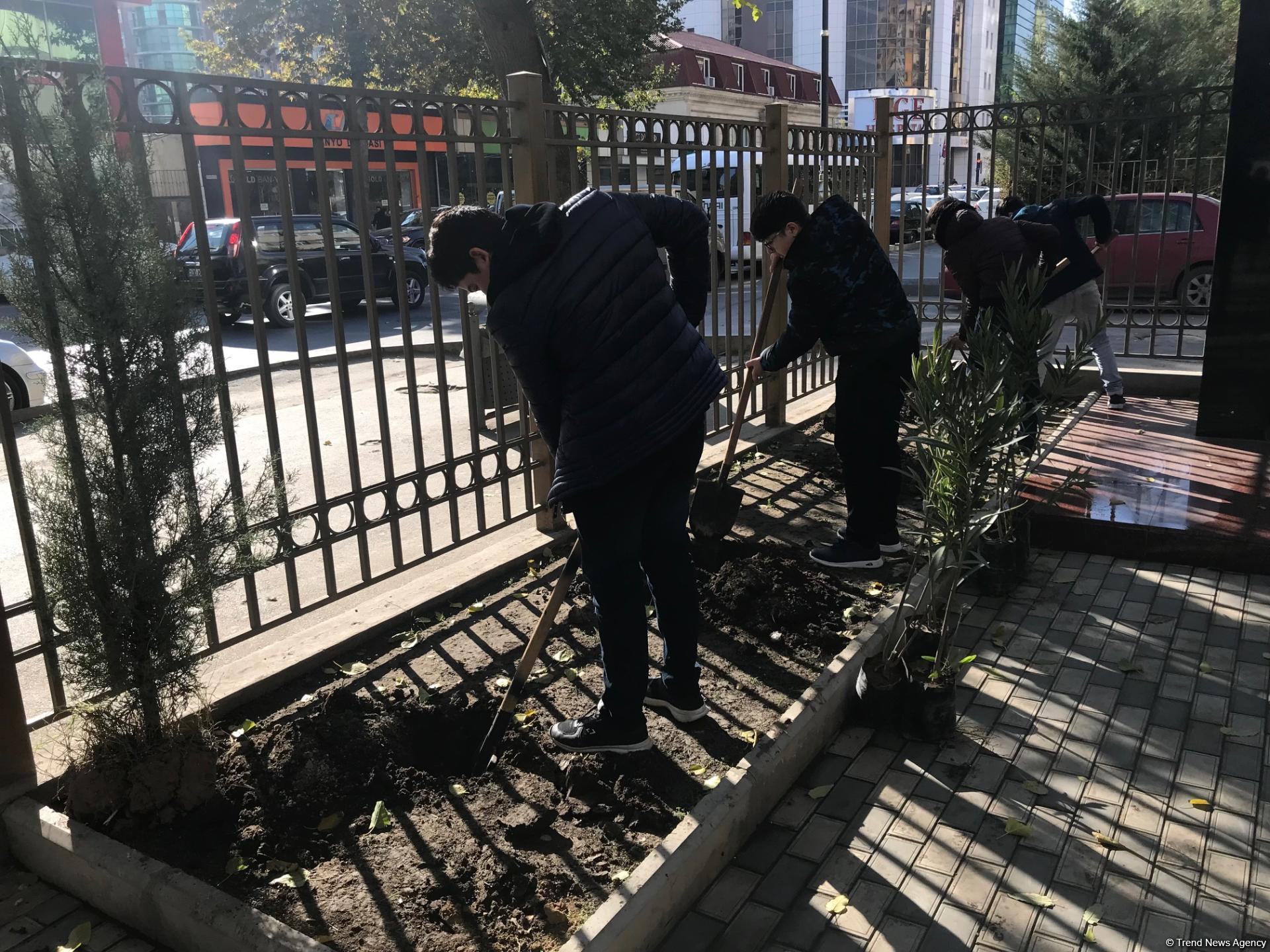 “Ağac əkək, qoruyaq, bu ənənəni yaşadaq!” devizi altında növbəti ağacəkmə aksiyası keçirilib (YENİLƏNİB) (FOTO)