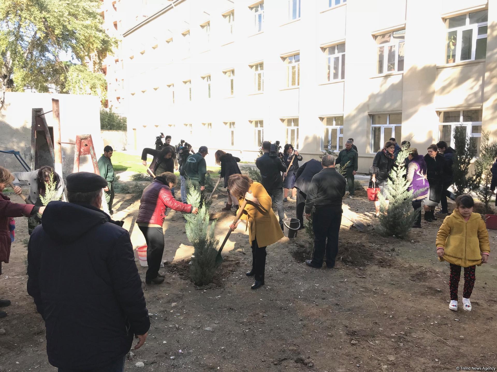 “Ağac əkək, qoruyaq, bu ənənəni yaşadaq!” devizi altında növbəti ağacəkmə aksiyası keçirilib (YENİLƏNİB) (FOTO)