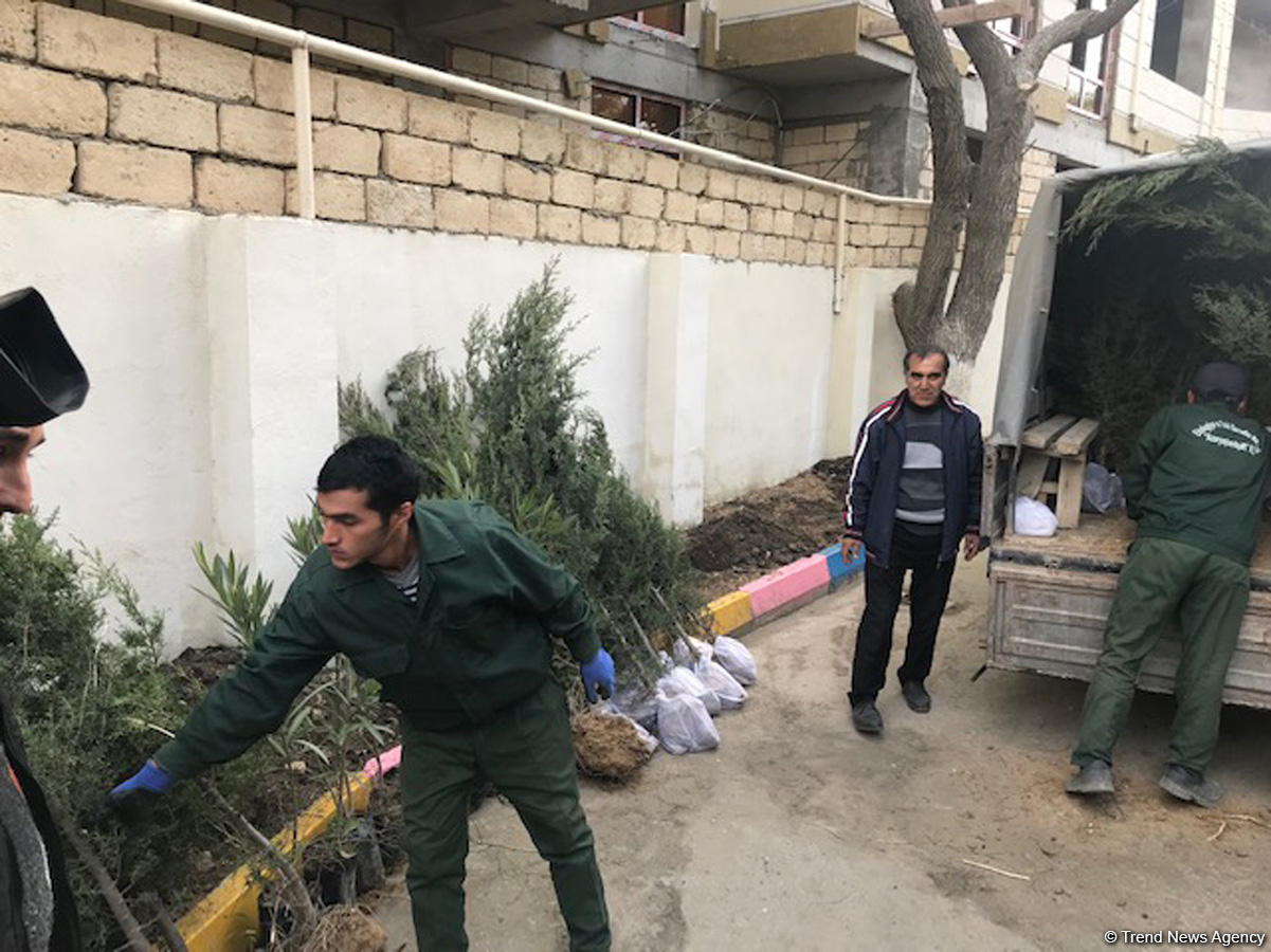 “Ağac əkək, qoruyaq, bu ənənəni yaşadaq!” devizi altında növbəti ağacəkmə aksiyası keçirilib (YENİLƏNİB) (FOTO)