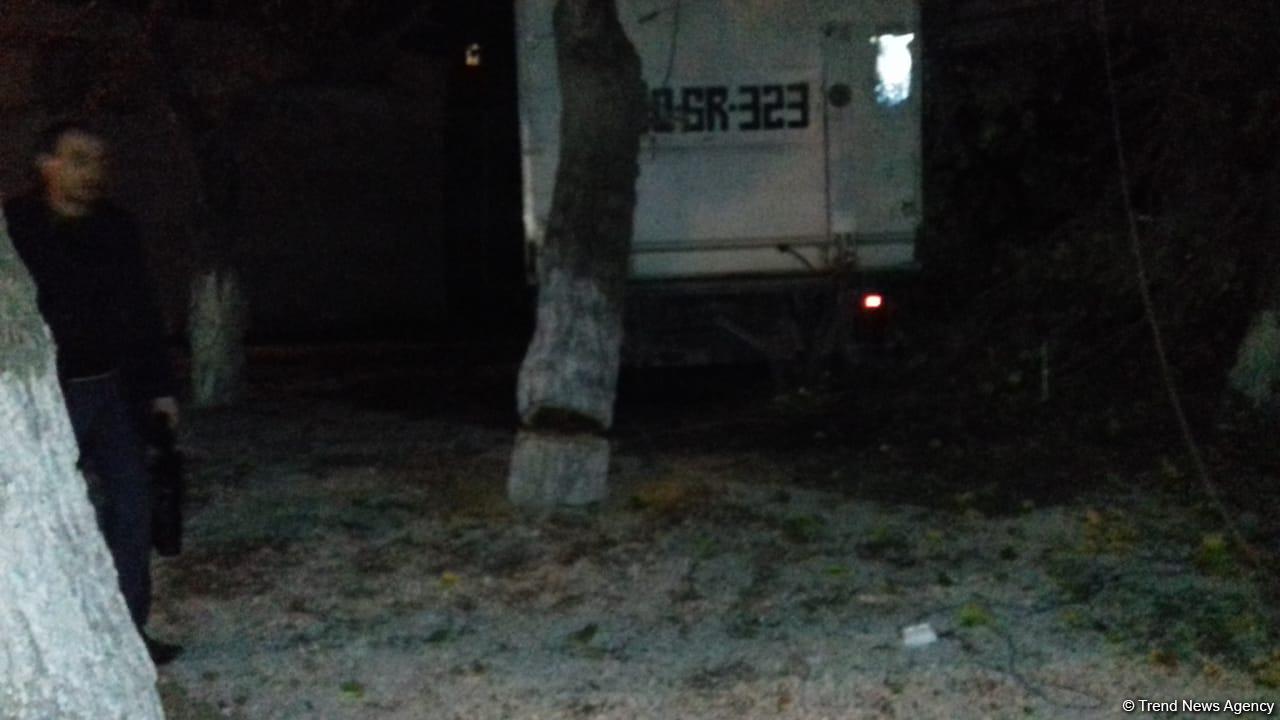 Bakıda iri ağacı kəsən sakinlər əllərində mişar yaxalandılar (FOTO)