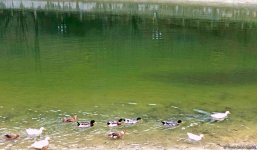 Payızın daha da gözəlləşdirdiyi Şəki (FOTO)