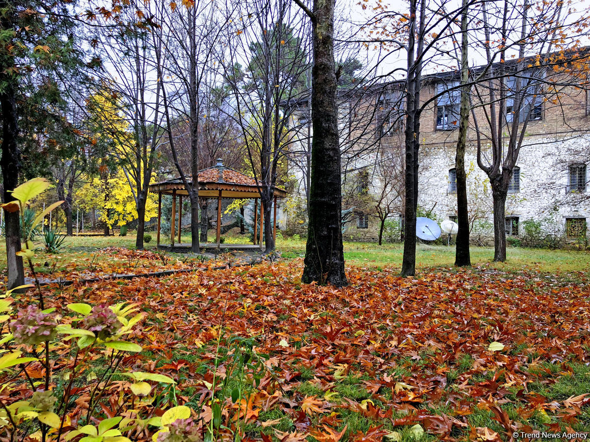 Payızın daha da gözəlləşdirdiyi Şəki (FOTO)