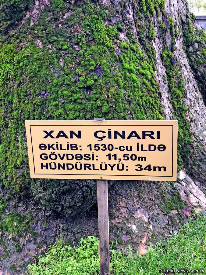 Payızın daha da gözəlləşdirdiyi Şəki (FOTO)