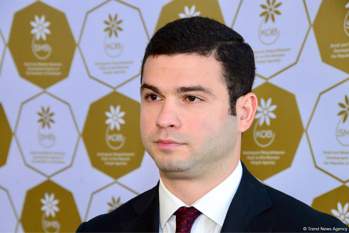 Orxan Məmmədov: Gələn il Bakıda ilk "Kiçik və Orta Biznes Evi" açılacaq
