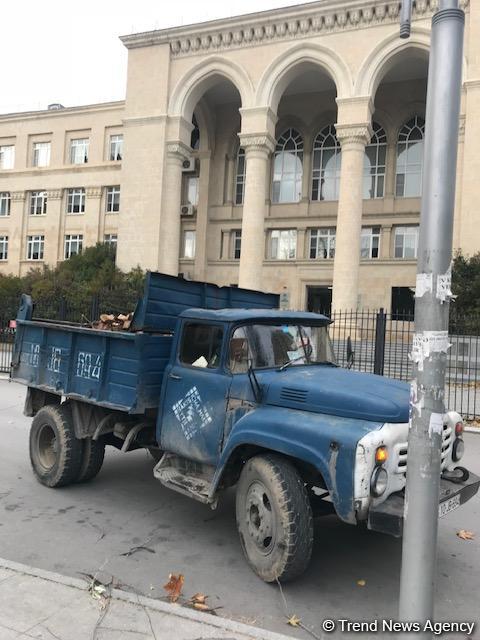 Güclü külək AMEA-nın parkında ağacı aşırdı (FOTO)