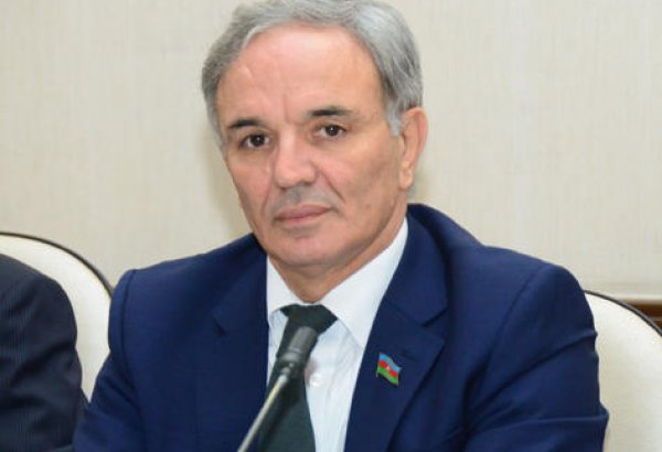 Əflatun Amaşov: Azərbaycana gətirilən çap məhsulları ƏDV-dən azad edilsin
