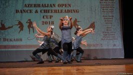 “Azərbaycan açıq kuboku” adlı müsabiqə keçirilib (FOTO)