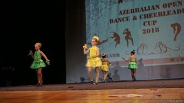 “Azərbaycan açıq kuboku” adlı müsabiqə keçirilib (FOTO)