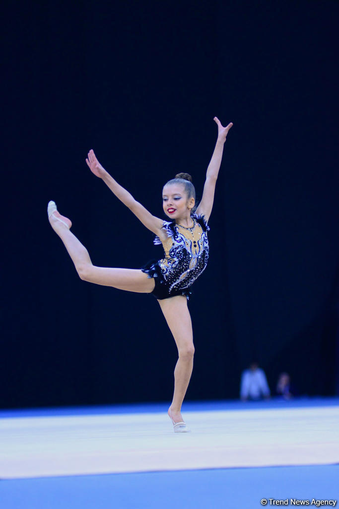 Bədii gimnastika üzrə 25-ci Azərbaycan Birinciliyinin üçüncü günü başlayıb (FOTO)