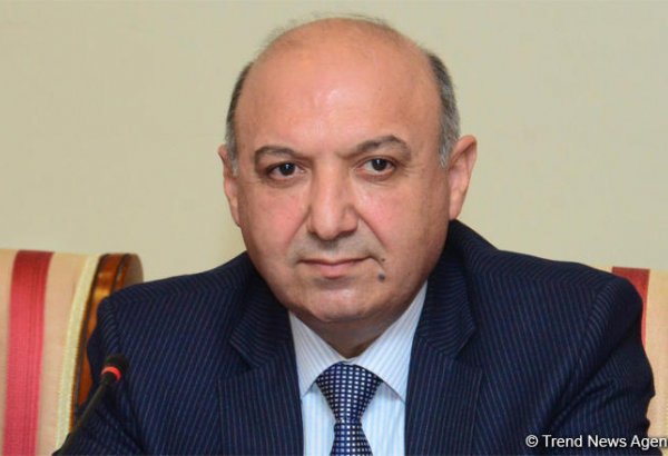 Komitə sədrinin müavini: Bəzi qüvvələr ölkədə radikallaşmaya meyllidirlər