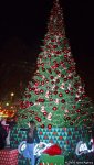Bayram ab-havalı Bakı – FOTOSESSİYA