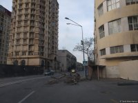 Bakıda güclü külək bir ağacı kökündən çıxardı, 15 ağacın budaqlarını sındırdı (FOTO)
