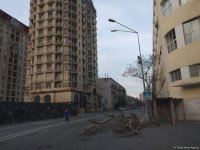 Bakıda güclü külək bir ağacı kökündən çıxardı, 15 ağacın budaqlarını sındırdı (FOTO)
