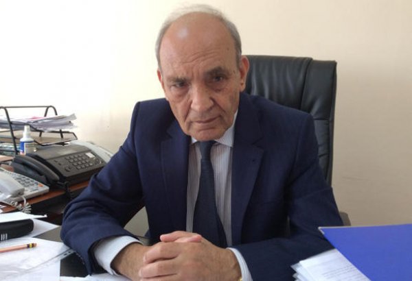 Dilçilik İnstitutunun direktoru: Dilimizdə əcnəbi sözlərdən yersiz istifadə əsas problemlərdəndir