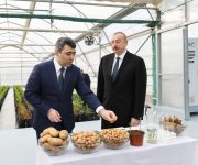 Prezident İlham Əliyev Tərəvəzçilik Elmi-Tədqiqat İnstitutunun açılışında iştirak edib (YENİLƏNİB-2) (FOTO)
