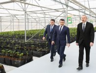 Prezident İlham Əliyev Tərəvəzçilik Elmi-Tədqiqat İnstitutunun açılışında iştirak edib (YENİLƏNİB-2) (FOTO)