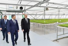 Prezident İlham Əliyev Tərəvəzçilik Elmi-Tədqiqat İnstitutunun açılışında iştirak edib (YENİLƏNİB-2) (FOTO)