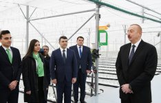 Prezident İlham Əliyev Tərəvəzçilik Elmi-Tədqiqat İnstitutunun açılışında iştirak edib (YENİLƏNİB-2) (FOTO)