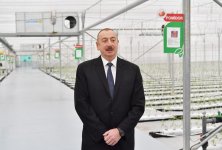 Prezident İlham Əliyev Tərəvəzçilik Elmi-Tədqiqat İnstitutunun açılışında iştirak edib (YENİLƏNİB-2) (FOTO)