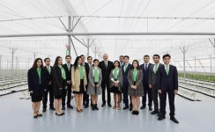 Prezident İlham Əliyev Tərəvəzçilik Elmi-Tədqiqat İnstitutunun açılışında iştirak edib (YENİLƏNİB-2) (FOTO)