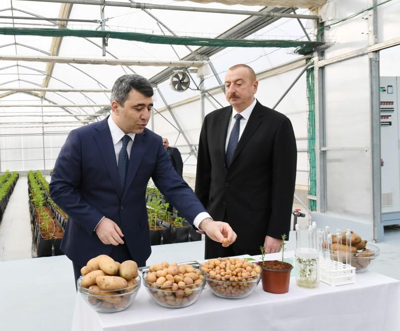 Prezident İlham Əliyev Tərəvəzçilik Elmi-Tədqiqat İnstitutunun açılışında iştirak edib (YENİLƏNİB-2) (FOTO)