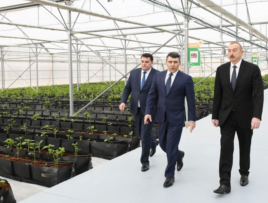 Prezident İlham Əliyev Tərəvəzçilik Elmi-Tədqiqat İnstitutunun açılışında iştirak edib (YENİLƏNİB-2) (FOTO)