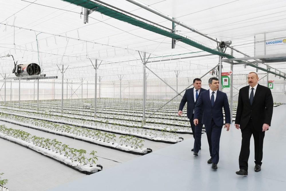 Prezident İlham Əliyev Tərəvəzçilik Elmi-Tədqiqat İnstitutunun açılışında iştirak edib (YENİLƏNİB-2) (FOTO)