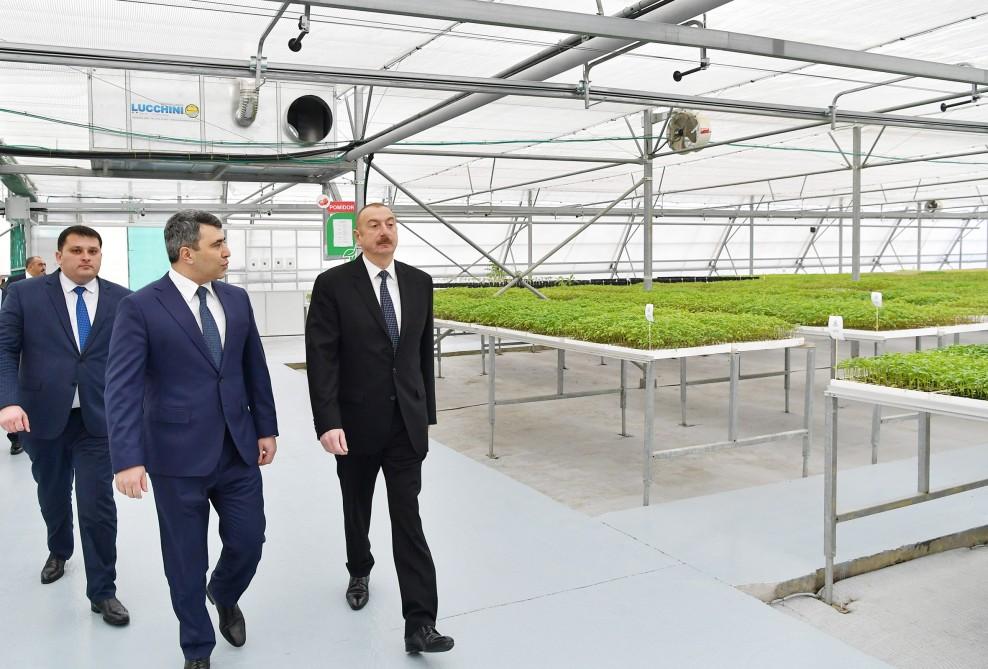 Prezident İlham Əliyev Tərəvəzçilik Elmi-Tədqiqat İnstitutunun açılışında iştirak edib (YENİLƏNİB-2) (FOTO)