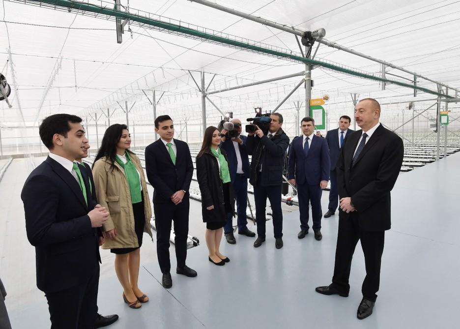 Prezident İlham Əliyev Tərəvəzçilik Elmi-Tədqiqat İnstitutunun açılışında iştirak edib (YENİLƏNİB-2) (FOTO)