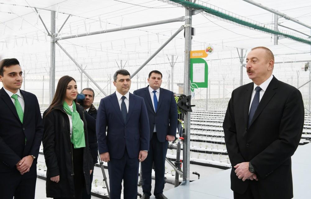 Prezident İlham Əliyev Tərəvəzçilik Elmi-Tədqiqat İnstitutunun açılışında iştirak edib (YENİLƏNİB-2) (FOTO)