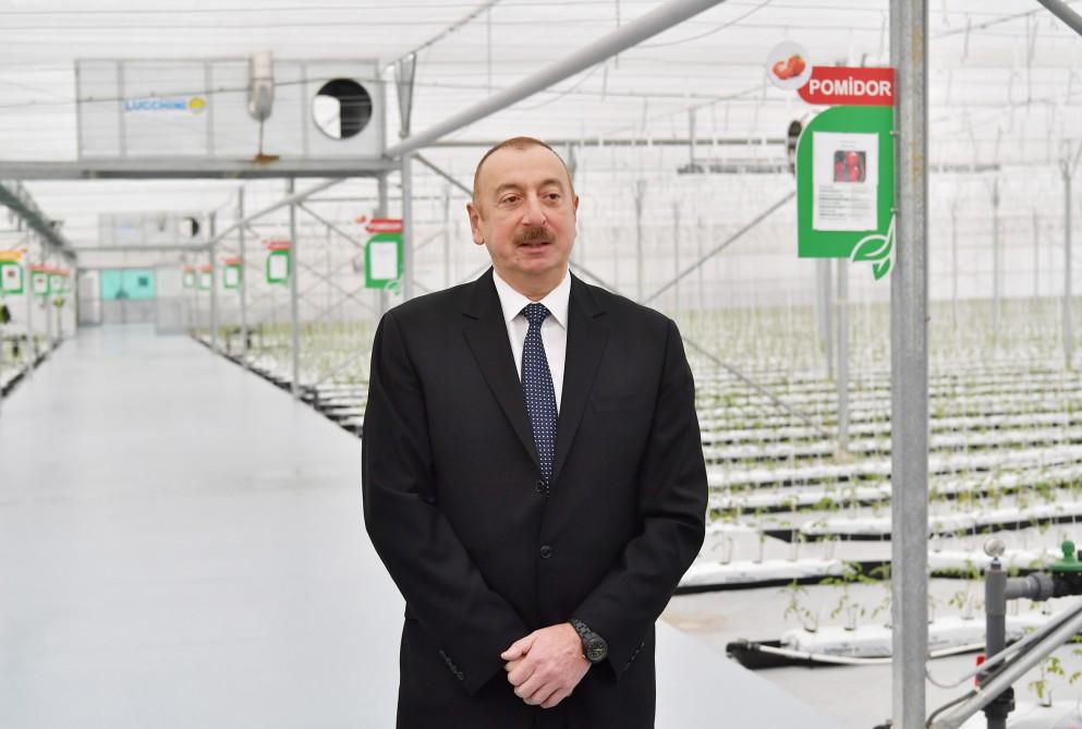 Prezident İlham Əliyev Tərəvəzçilik Elmi-Tədqiqat İnstitutunun açılışında iştirak edib (YENİLƏNİB-2) (FOTO)