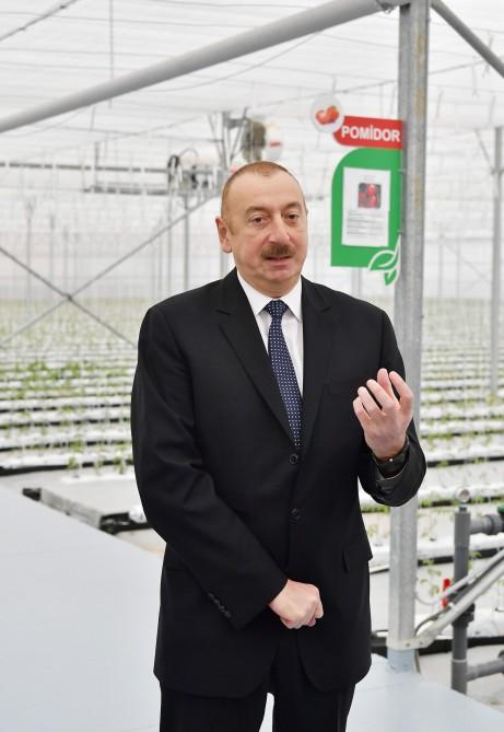 Prezident İlham Əliyev Tərəvəzçilik Elmi-Tədqiqat İnstitutunun açılışında iştirak edib (YENİLƏNİB-2) (FOTO)
