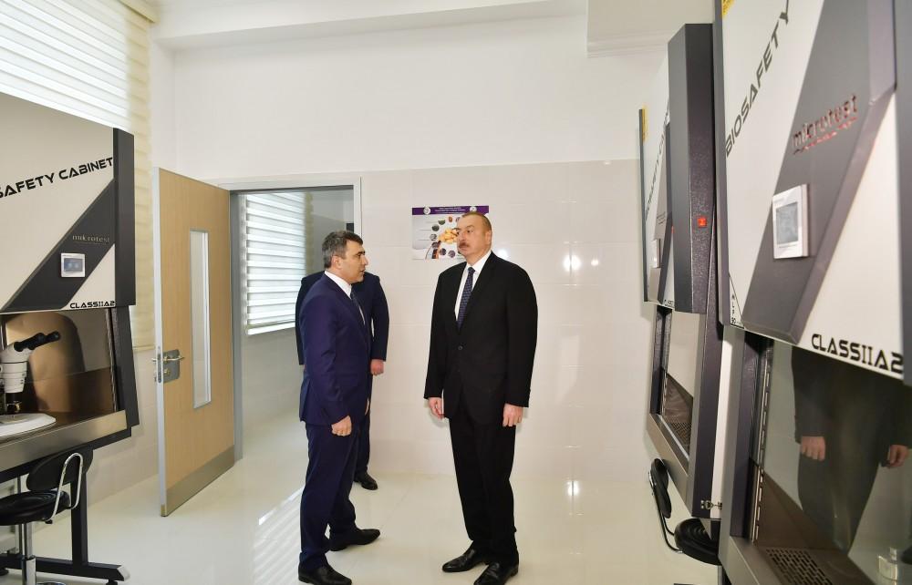 Prezident İlham Əliyev Tərəvəzçilik Elmi-Tədqiqat İnstitutunun açılışında iştirak edib (YENİLƏNİB-2) (FOTO)