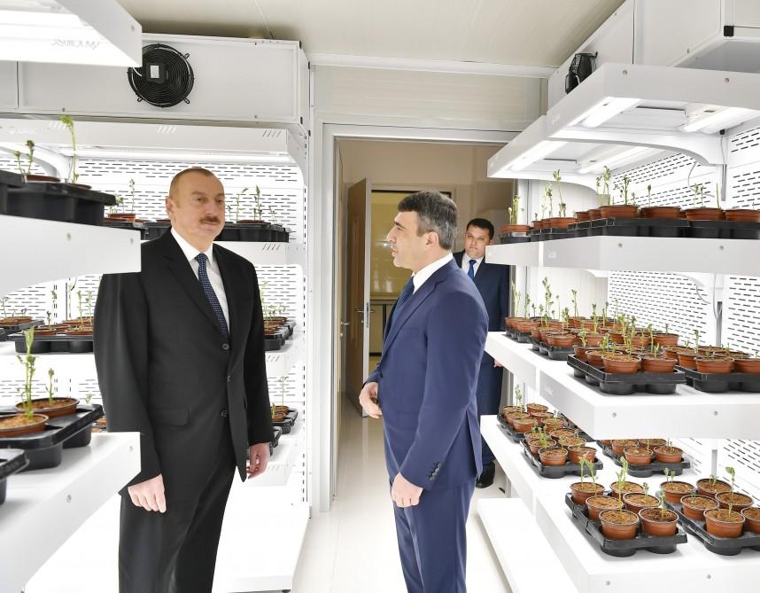 Prezident İlham Əliyev Tərəvəzçilik Elmi-Tədqiqat İnstitutunun açılışında iştirak edib (YENİLƏNİB-2) (FOTO)