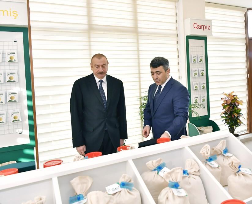 Prezident İlham Əliyev Tərəvəzçilik Elmi-Tədqiqat İnstitutunun açılışında iştirak edib (YENİLƏNİB-2) (FOTO)